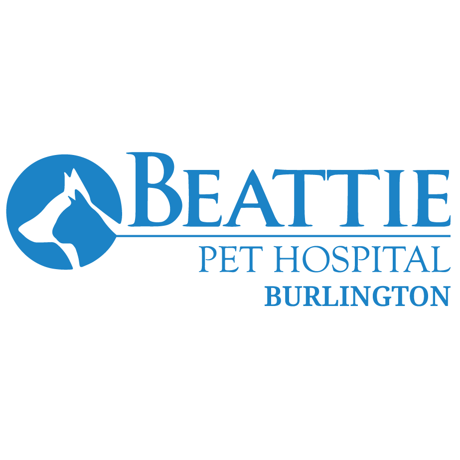 Beattie Pet Hospital - Burlington - Vétérinaires