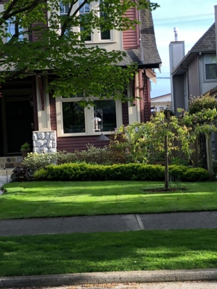 Grass Cutting & Blackberry Bush Removal - Landscape Contractors & Designers