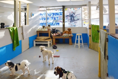 Happy Pet Spa - Pet Grooming, Clipping & Washing