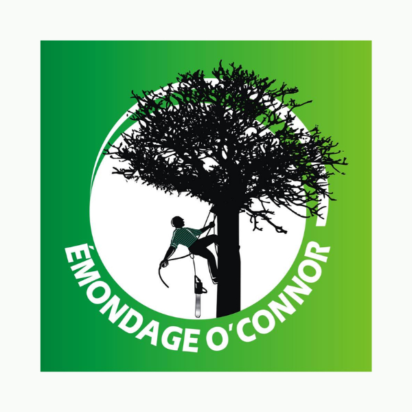 Émondage O’Connor - Tree Service
