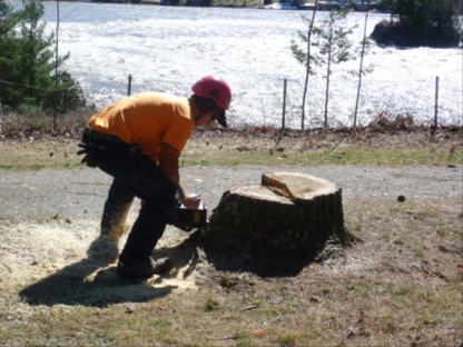 Arboriculture Renauld Vachon - Service d'entretien d'arbres