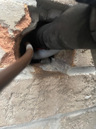 Pestline - Pest Control Toronto - Pest Control Services