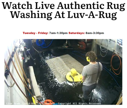 Luv-A-Rug Services Inc. - Carpet & Rug Cleaning