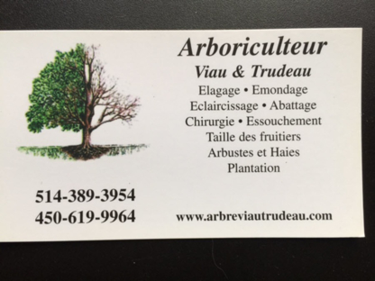 Arboriculteur Viau Trudeau - Tree Service