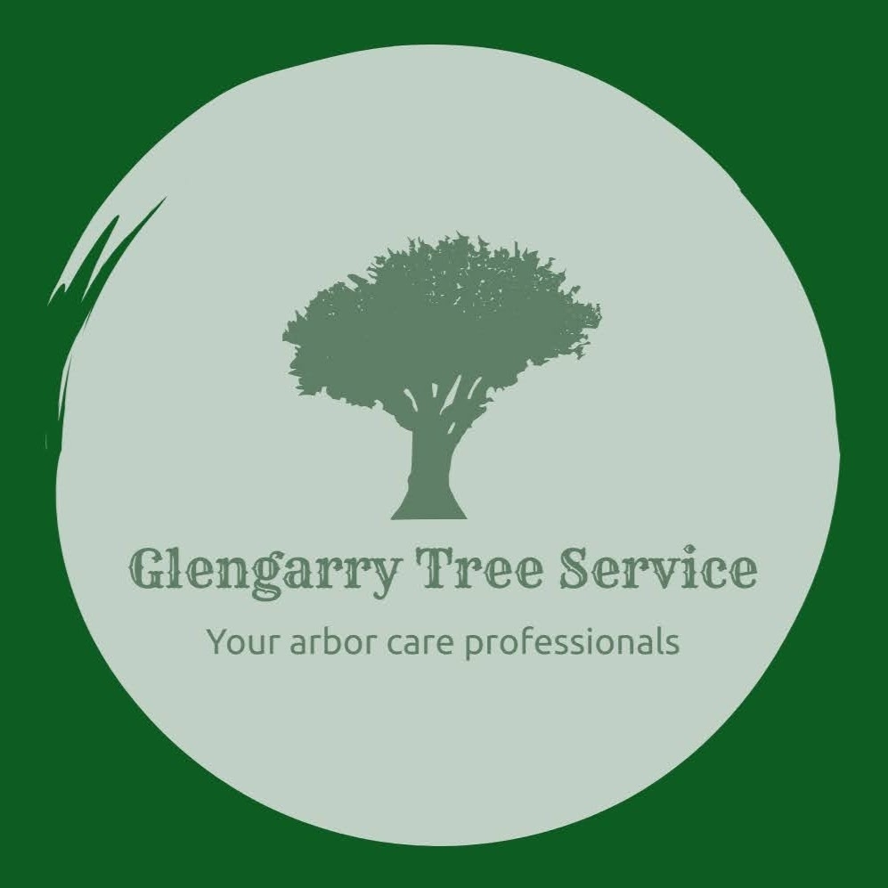 Glengarry Tree Service - Service d'entretien d'arbres