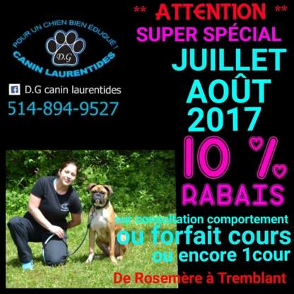 D G Canin Laurentides - Dog Training & Pet Obedience Schools