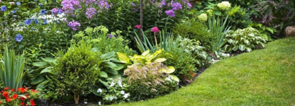 Sacred Garden Landscaping - Landscape Contractors & Designers