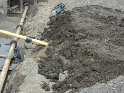 Raptor Ground Disturbance Ltd - Excavation Contractors