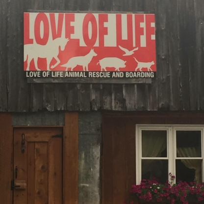 Love of Life Animal Rescue - Animal Shelters & Protection Services