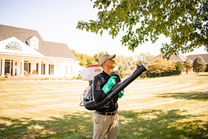 Mosquito Hero - Extermination et fumigation