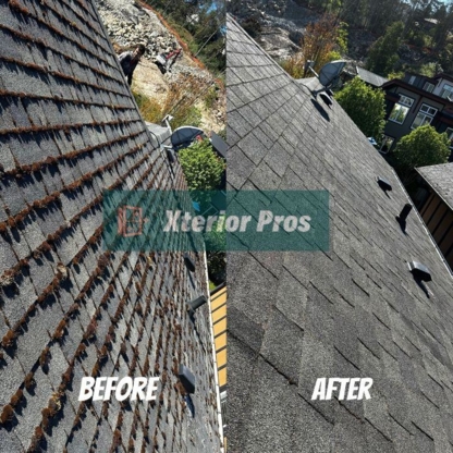 Xterior Pros - Roof Moss Removal, Gutter and Window Cleaning