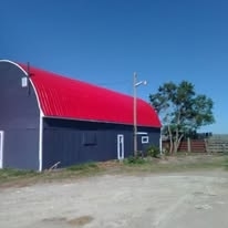 McNabb Painting - Painters