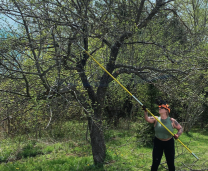 Cunningham Tree Service - Service d'entretien d'arbres