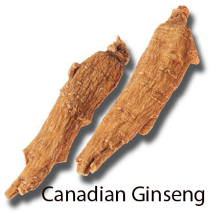 Sun Ming Hong Canada Ltd - Herbalists & Herbal Products