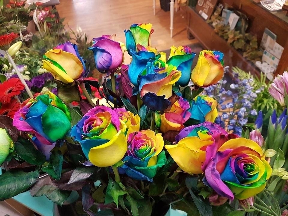 Blooms N' Rooms - Florists & Flower Shops