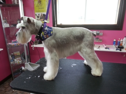 Salon Wouf - Pet Grooming, Clipping & Washing