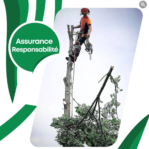 Solution Émondage - Élagueur - Service d'entretien d'arbres
