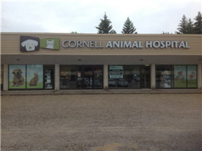 Cornell Animal Hospital - Veterinarians