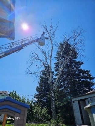 Ramonage du loup - Chimney Cleaning & Sweeping