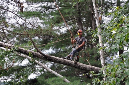Abattage CDFC Inc - Service d'entretien d'arbres