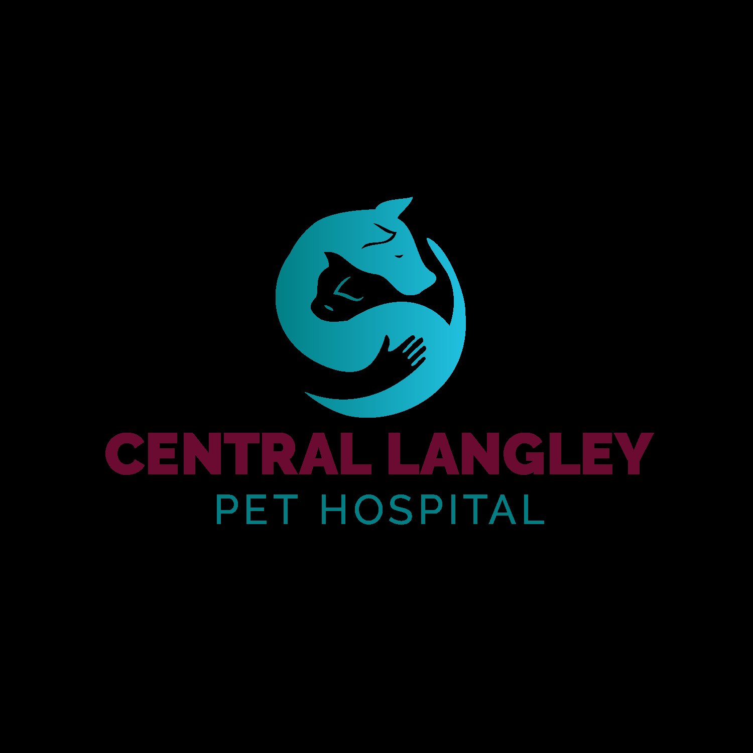 Central Langley Pet Hospital - Vétérinaires