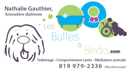 Les Bulles à Bedo - Pet Grooming, Clipping & Washing