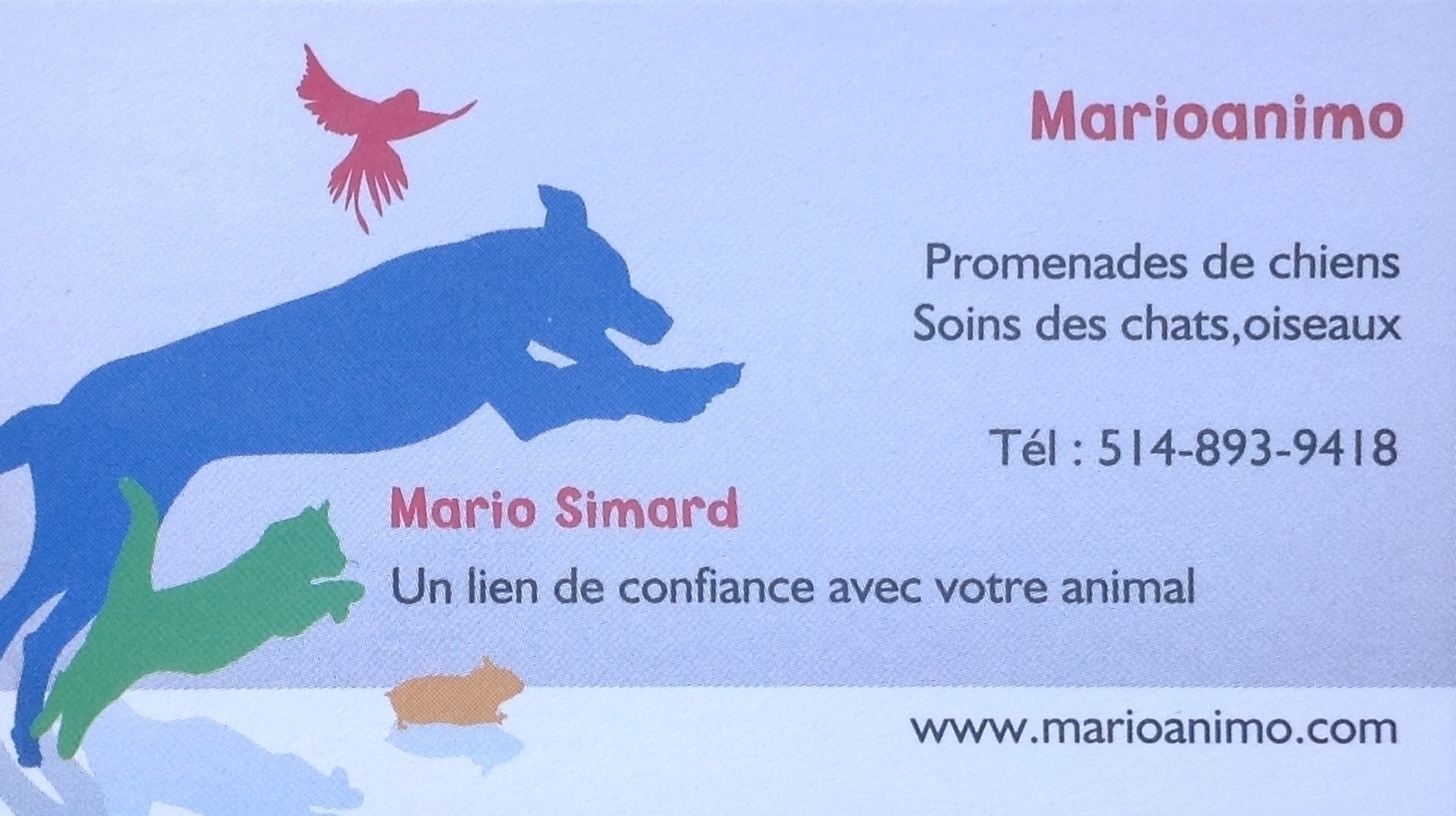 Marioanimo - Pet Sitting Service
