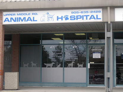 Cybulska-Cetera Veterinary Medicine Professional - Vétérinaires