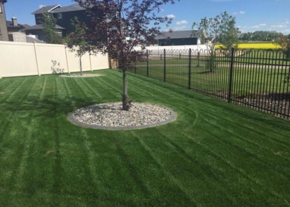 D&E Lawn Care - Entretien de gazon