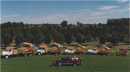 Stevens Large Tree Sales - Pépinières et arboriculteurs