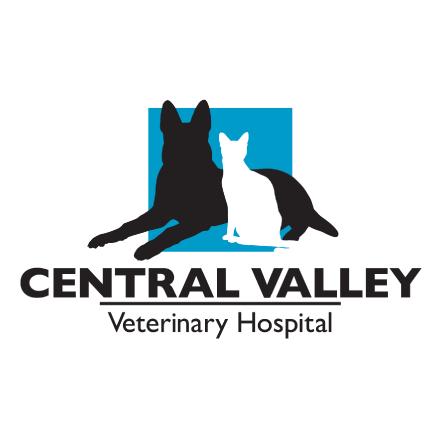 Central Valley Veterinary Hospital - Veterinarians