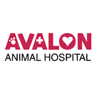 Avalon Animal Hospital - Veterinarians