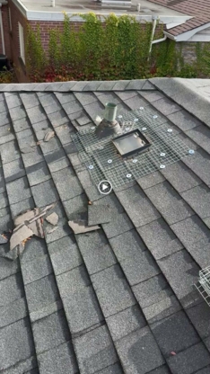 Bug Managers Pest Control - Extermination et fumigation