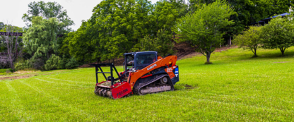 View Field Mulching Services’s St Thomas profile
