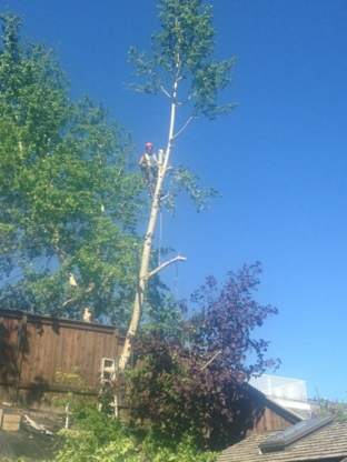 Woodchuck Tree Removal Service - Service d'entretien d'arbres