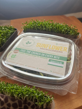 Leafy Delights Microgreens - Organic Products