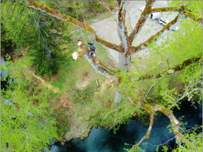 Raincoast Arboriculture - Tree Service