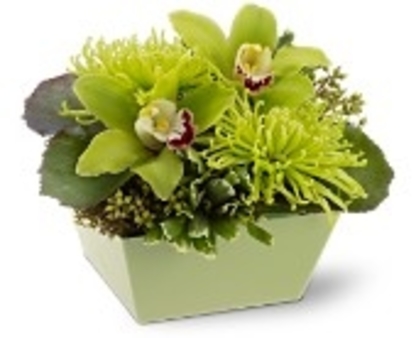 Quinte Floral Design Ltd - Fleuristes et magasins de fleurs
