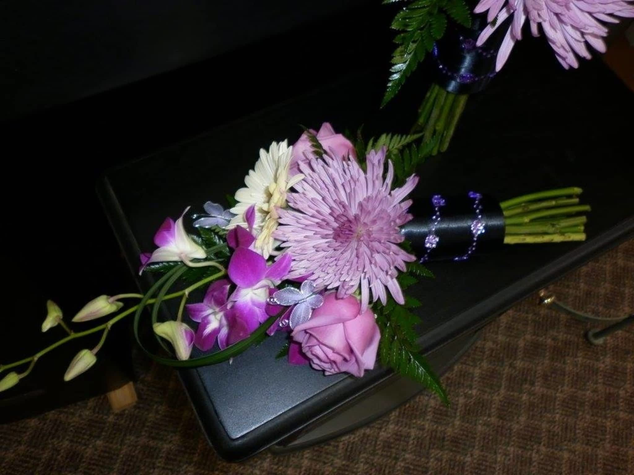 photo Blooms Flowers