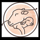 Soul Comfort Sheepskin & Sheep Wool