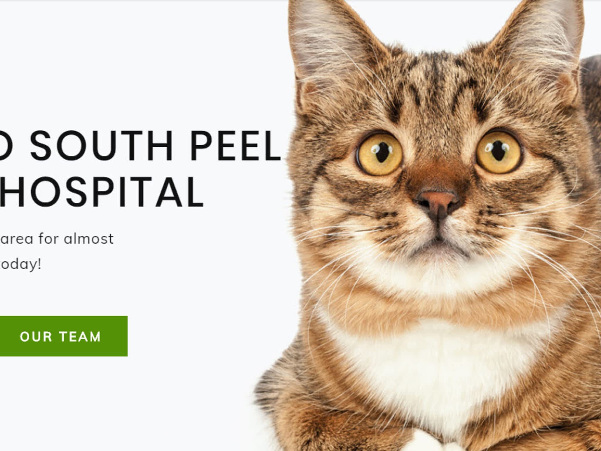 photo South Peel Veterinary Hospital