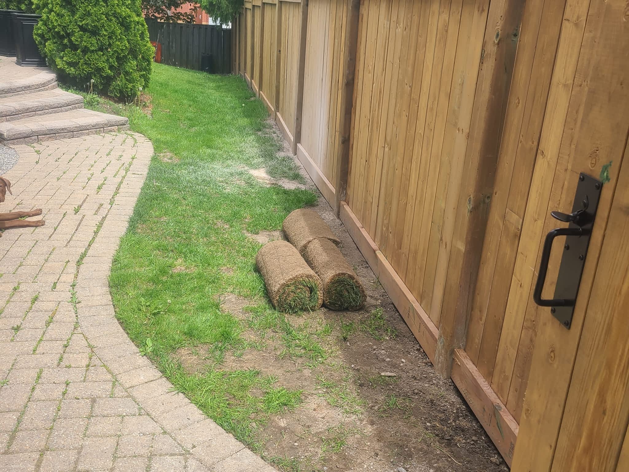 photo Building Problems Solver Inc.