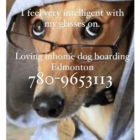 Wag's Doggie Vacation Hotel And Resort - Garderie d'animaux de compagnie