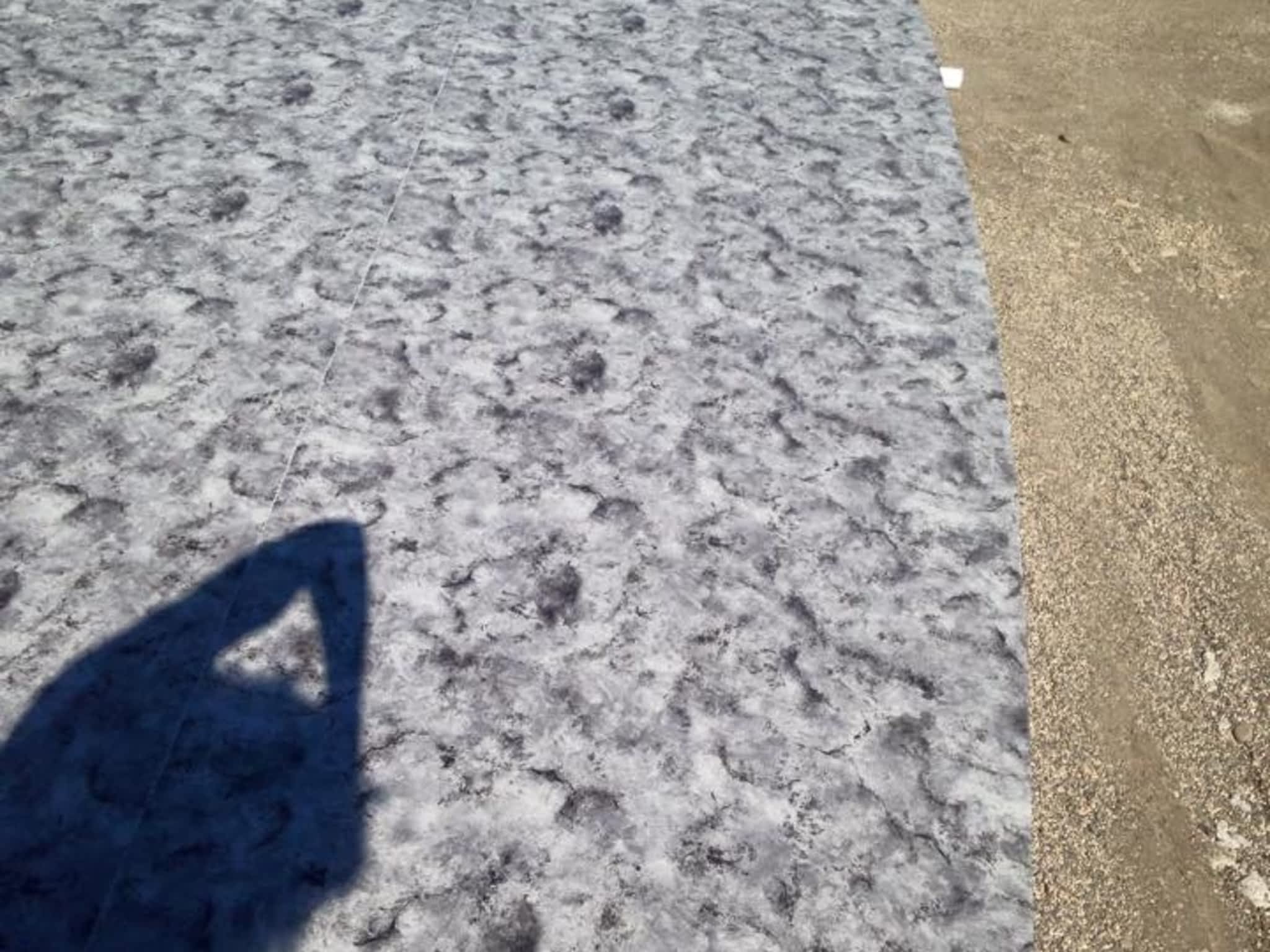 photo Shield Contracting