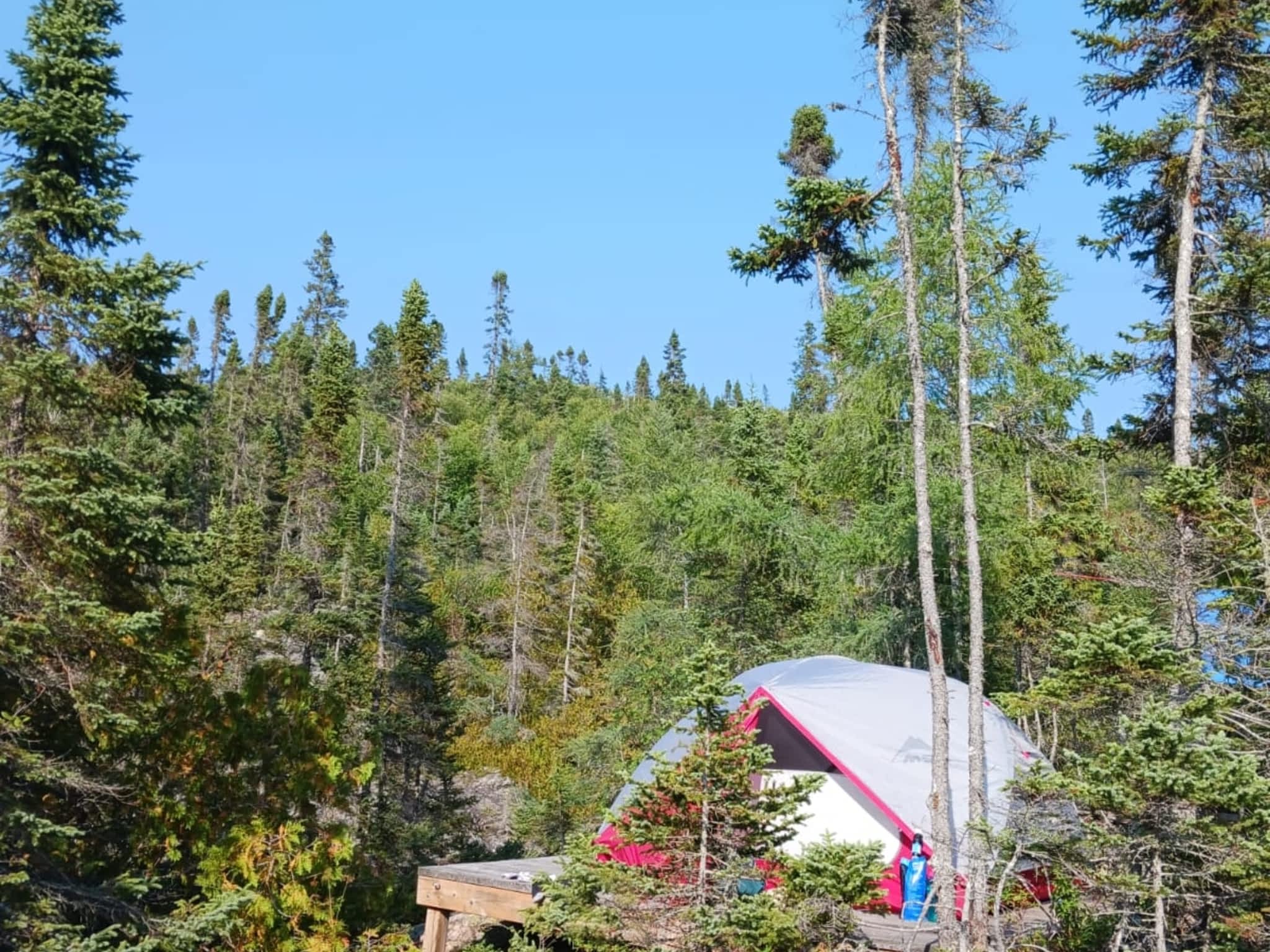 photo Step it Up Adventures