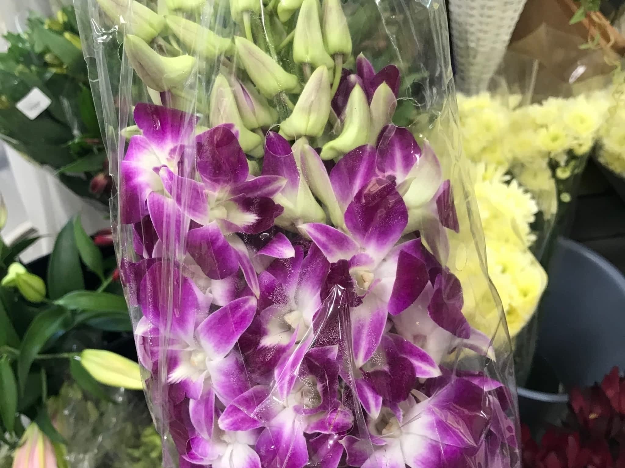 Shalimar Flower Shop Brampton, ON 227 Queen St E Canpages