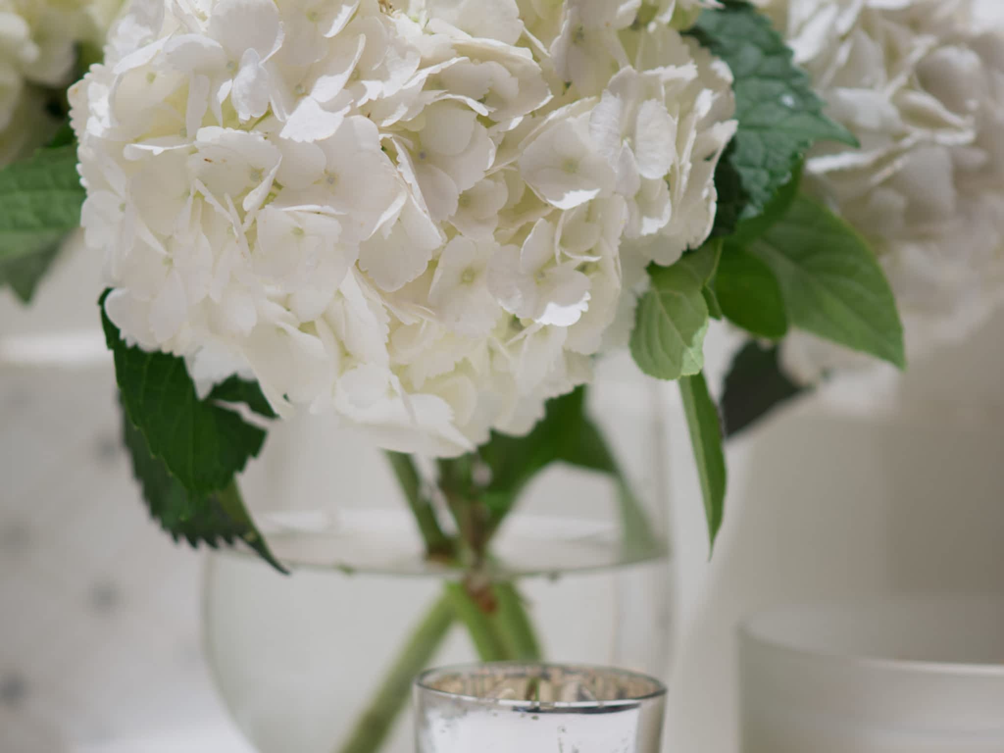 photo Ferron Design Studio