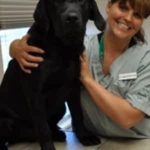 cedarwood animal hospital