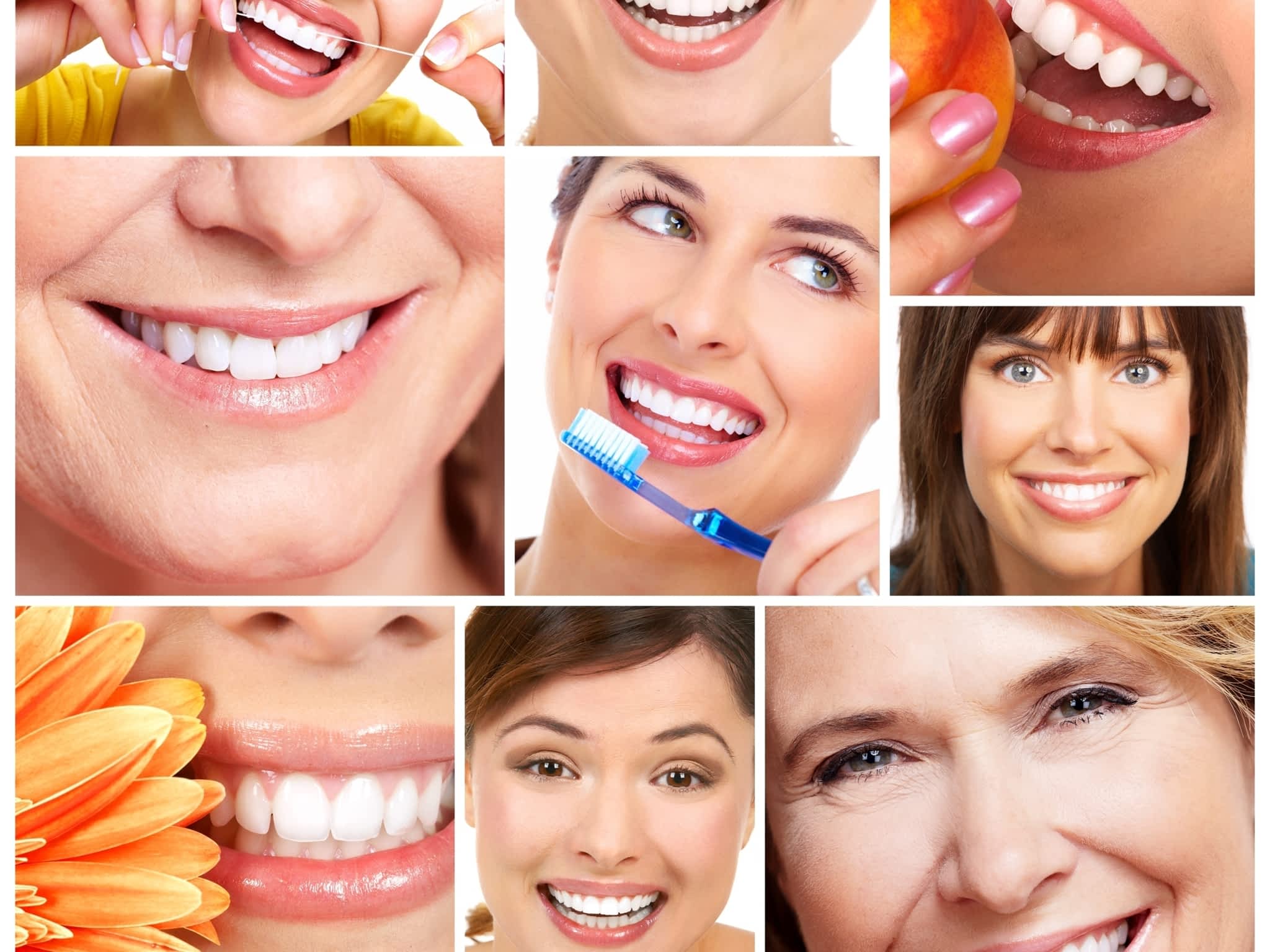 photo Malo Steven Dr