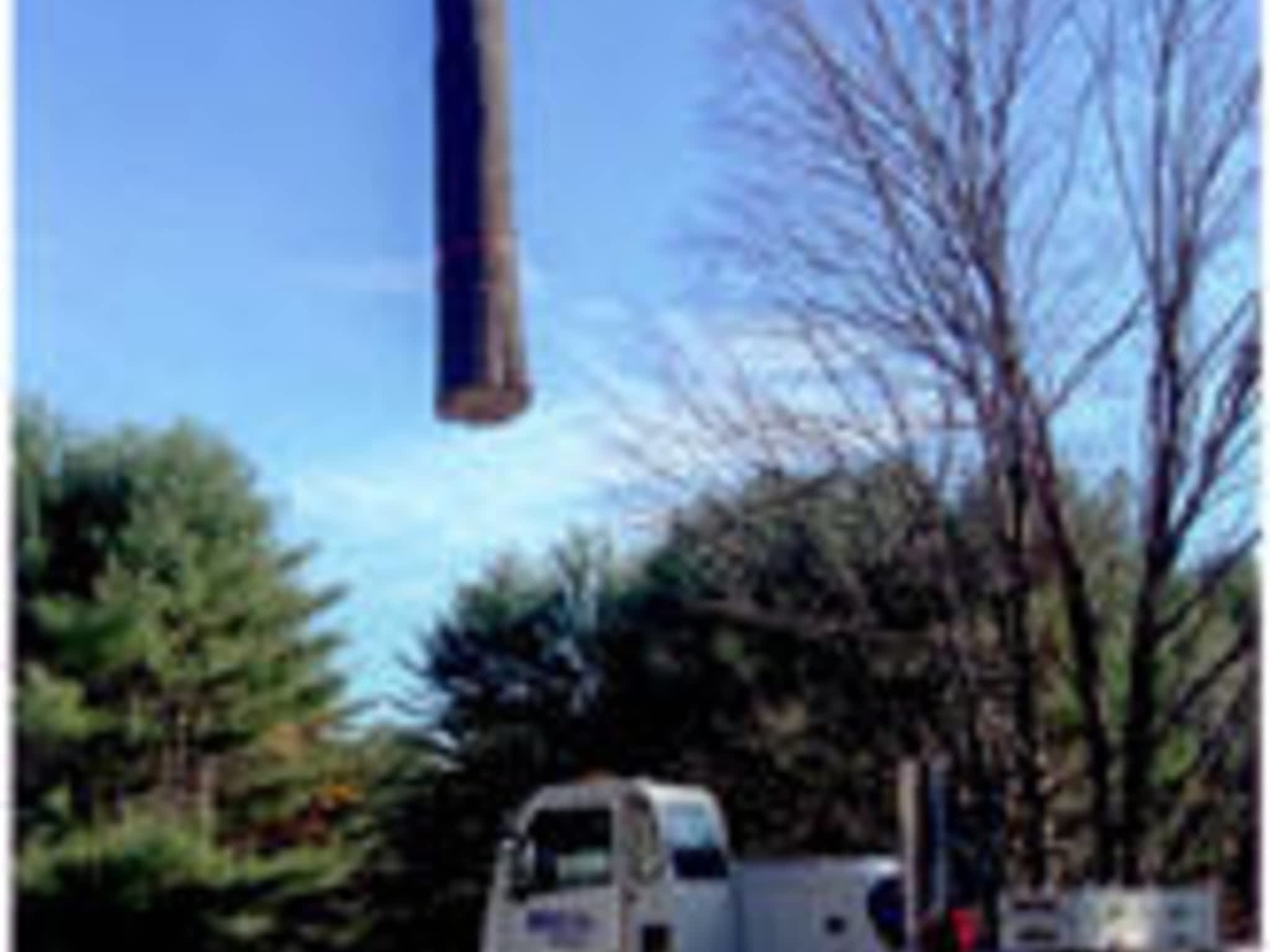 photo AAA Tree Service